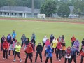 Tn UKM 9308